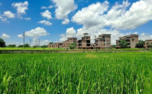 妖精视频大全發展前景